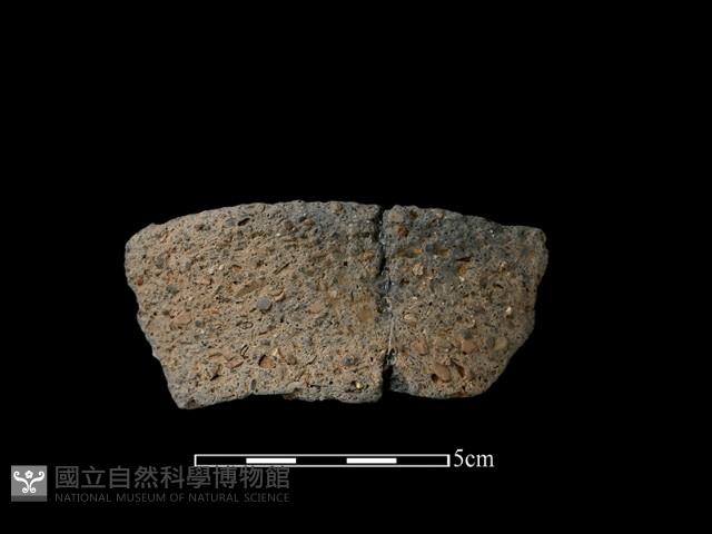 陶片藏品圖，第2張