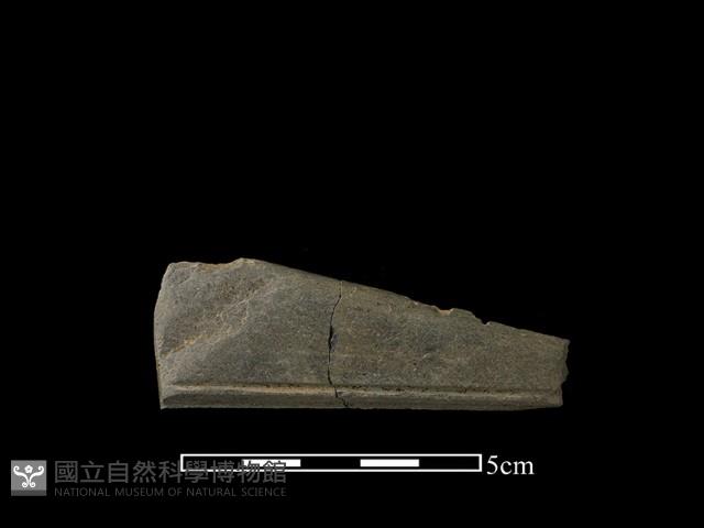 帶加工痕石材藏品圖，第1張
