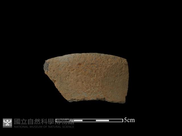 陶片藏品圖，第1張