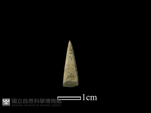 錛鑿形器藏品圖，第1張