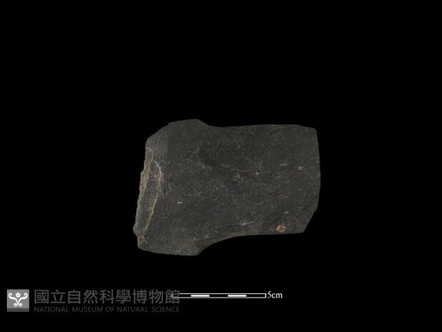 戈形器藏品圖，第1張