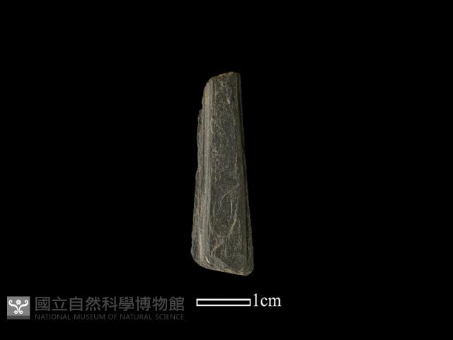 帶加工痕石材藏品圖，第2張