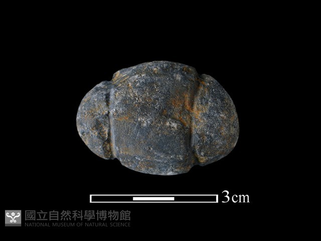 網墜藏品圖，第2張