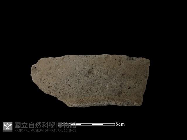 陶片藏品圖，第2張