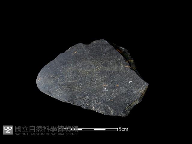 石鏟藏品圖，第2張