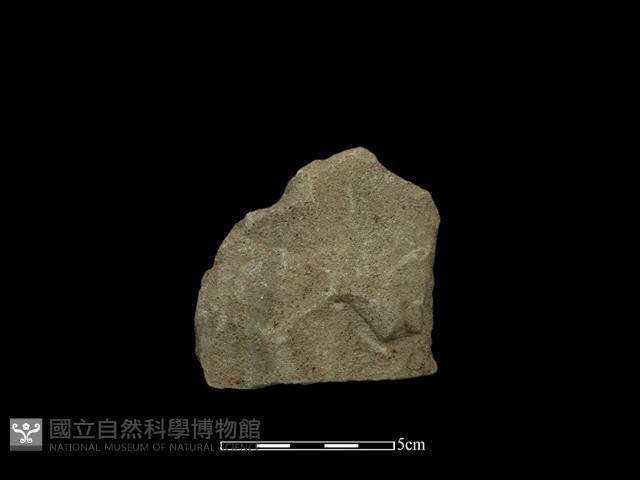 斧鋤形器藏品圖，第1張