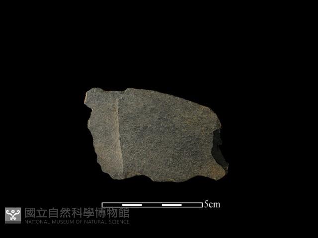 磨製有刃石器藏品圖，第1張