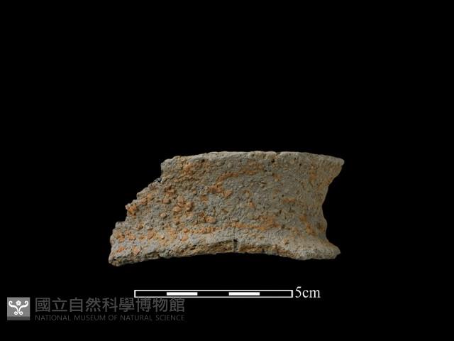 陶片藏品圖，第1張