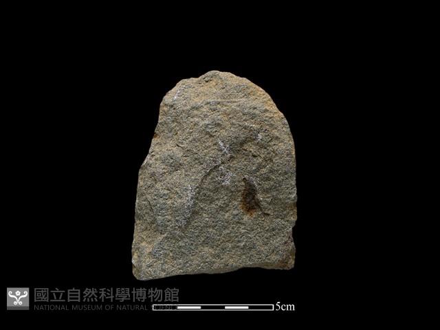 斧鋤形器藏品圖，第2張