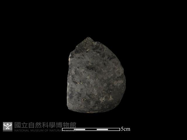 陶片藏品圖，第1張
