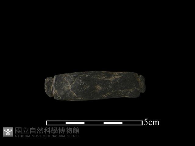 網墜藏品圖，第1張