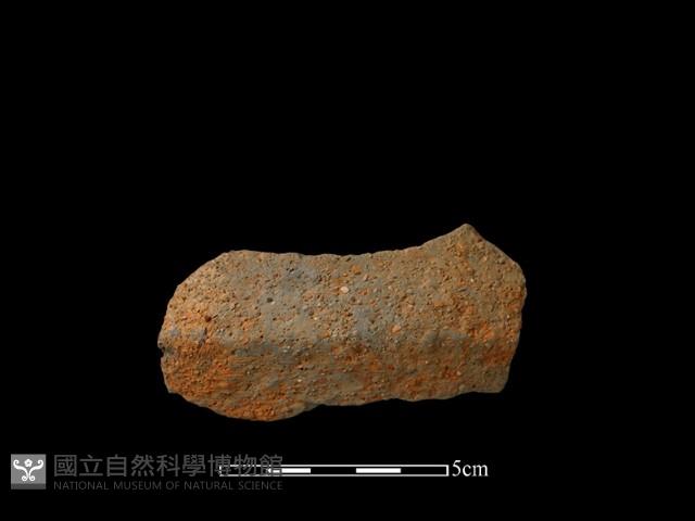 陶片藏品圖，第2張