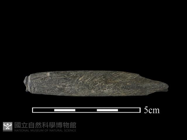 網墜藏品圖，第1張