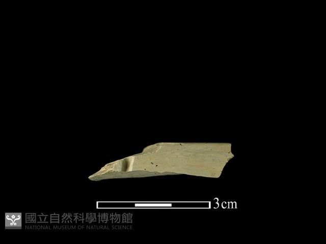 帶加工痕石材藏品圖，第2張