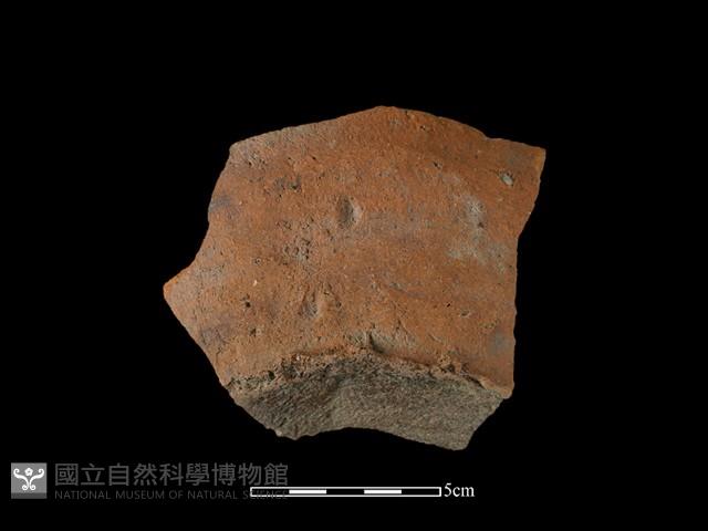 Accession Number:SNT-2018-169 Collection Image, Figure 2, Total 2 Figures