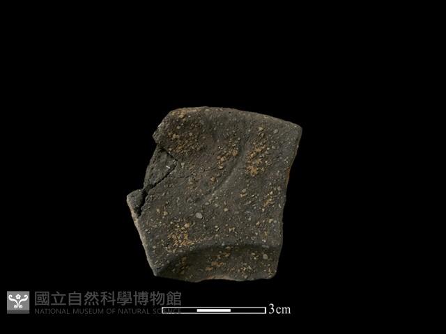 陶片藏品圖，第1張