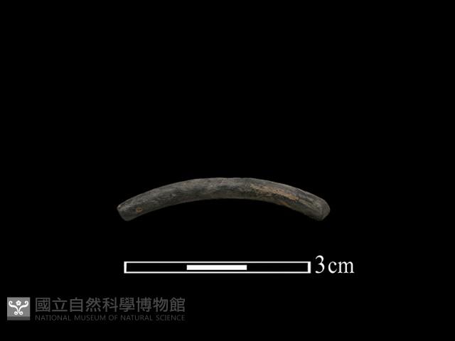 陶環藏品圖，第1張