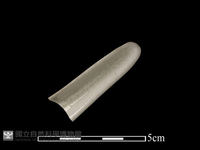 湯匙藏品圖，第2張