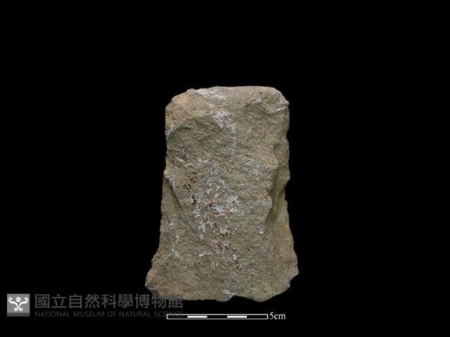斧鋤形器藏品圖，第1張