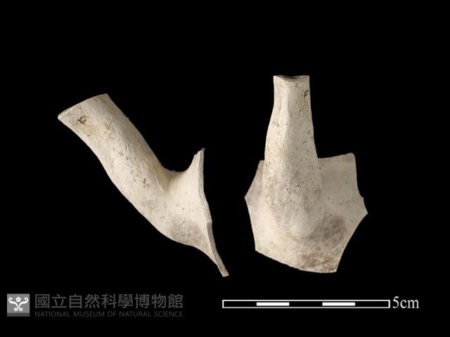 陶壺藏品圖，第1張