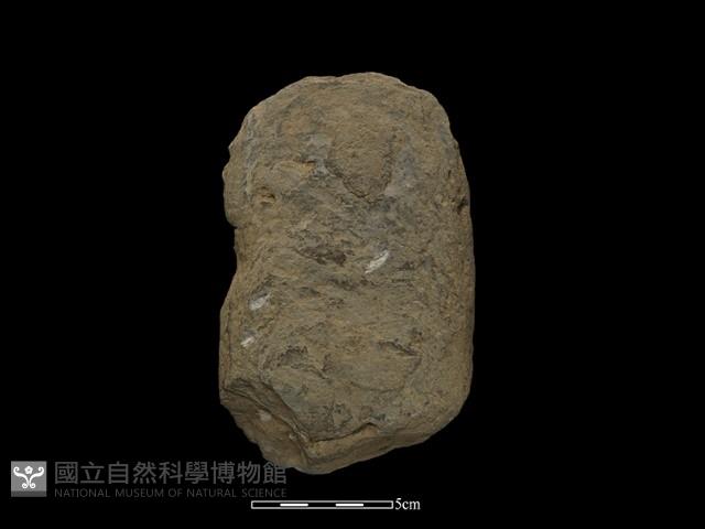 石鎚藏品圖，第1張