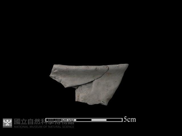 陶缽藏品圖，第2張