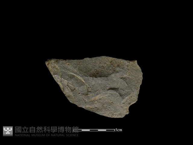 打製石器藏品圖，第2張