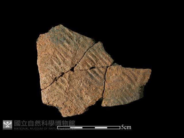 陶片藏品圖，第1張