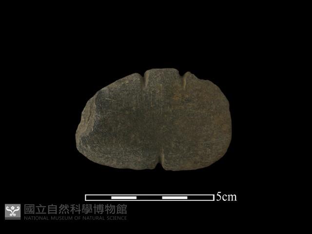 網墜藏品圖，第1張