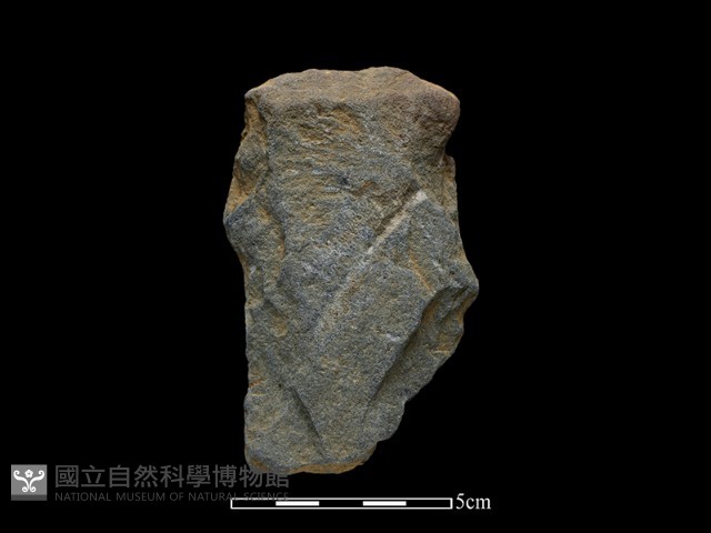 斧鋤形器藏品圖，第1張