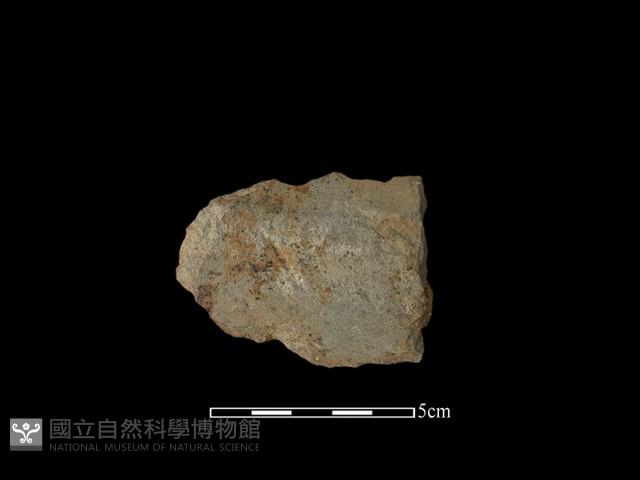 戈形器藏品圖，第1張