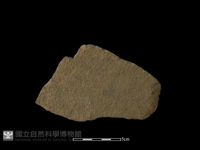 石片器藏品圖，第2張