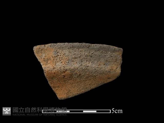 陶片藏品圖，第1張