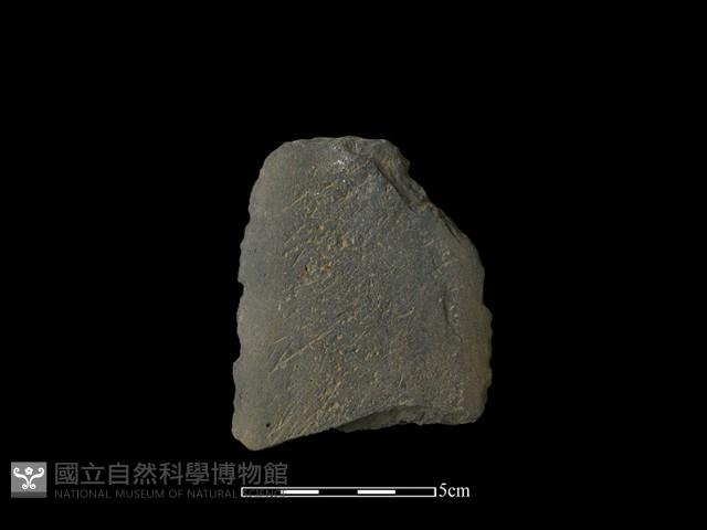 磨製斧鋤形器藏品圖，第1張