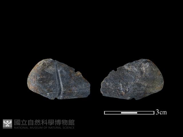 網墜藏品圖，第1張