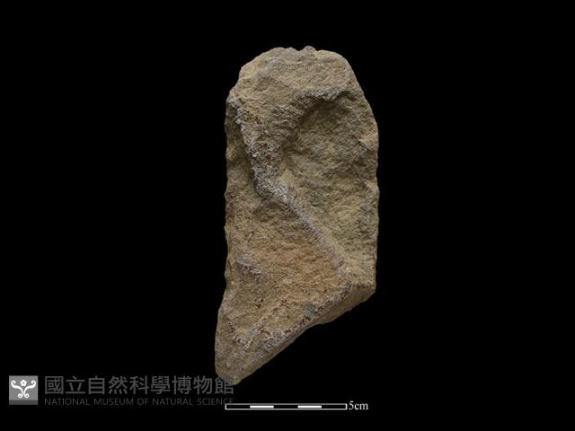 斧鋤形器藏品圖，第2張