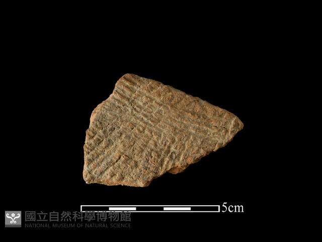 陶片藏品圖，第1張