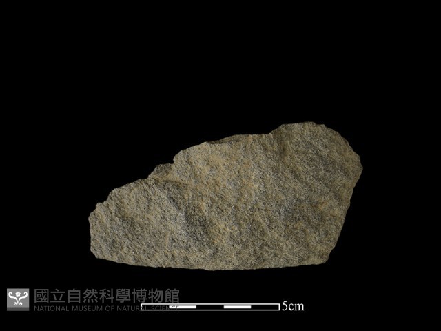石片器藏品圖，第2張