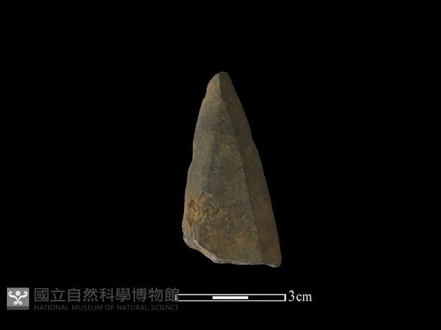 矛鏃形器藏品圖，第1張