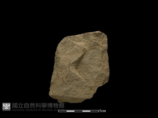 斧鋤形器藏品圖，第2張