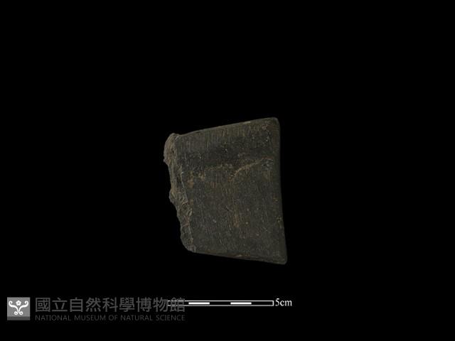 戈形器藏品圖，第1張