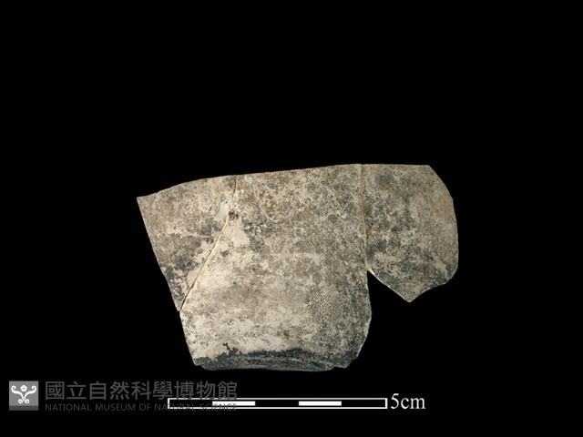 陶壺藏品圖，第2張