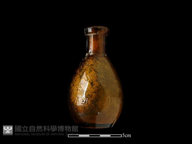 玻璃瓶藏品圖，第1張