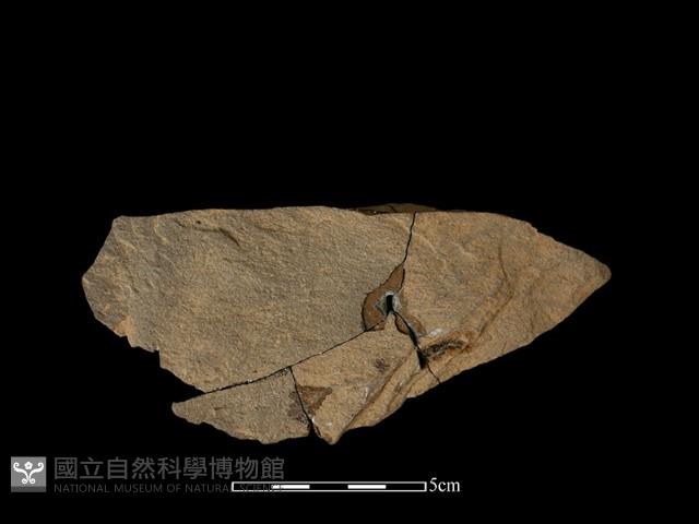 石片器藏品圖，第2張