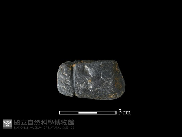 網墜藏品圖，第2張