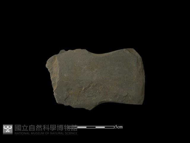 戈形器藏品圖，第1張