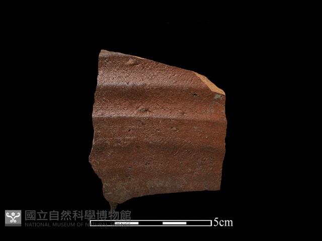 陶片藏品圖，第2張