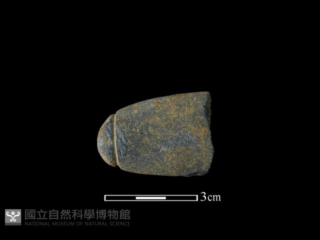 網墜藏品圖，第1張