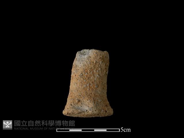 獸足藏品圖，第2張