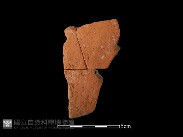 陶片藏品圖，第1張